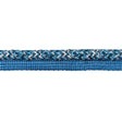 Kravet NICOYA INDIGO Trim