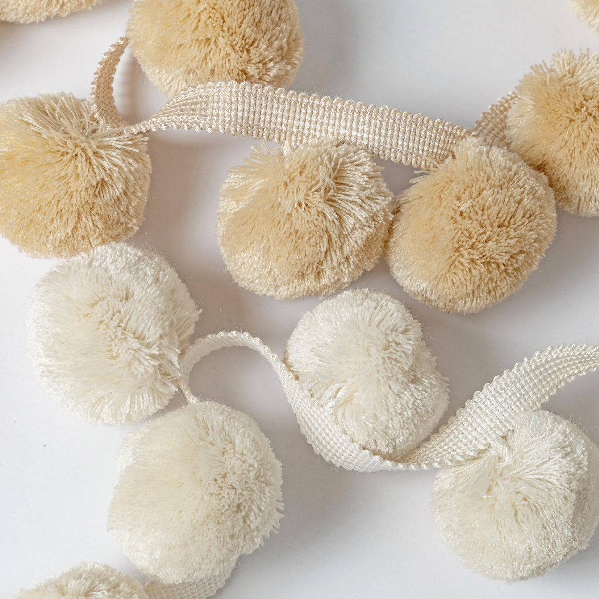 Kravet JUNGLE POMS CREAM Trim