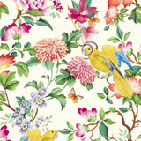 Clarke & Clarke GOLDEN PARROT WP IVORY Wallpaper
