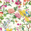 Clarke & Clarke GOLDEN PARROT WP IVORY Wallpaper