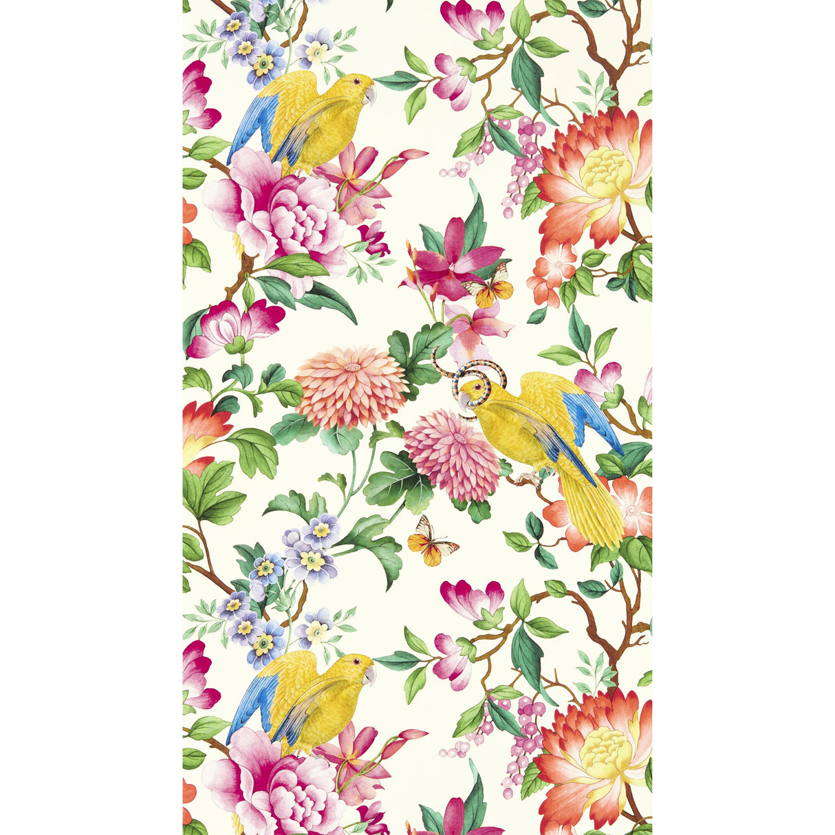 Clarke & Clarke GOLDEN PARROT WP IVORY Wallpaper