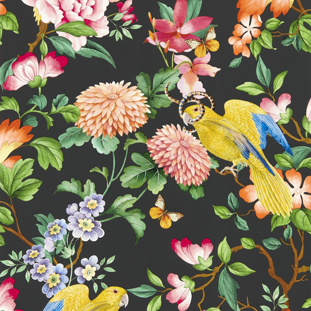 Clarke & Clarke GOLDEN PARROT WP NOIR Wallpaper