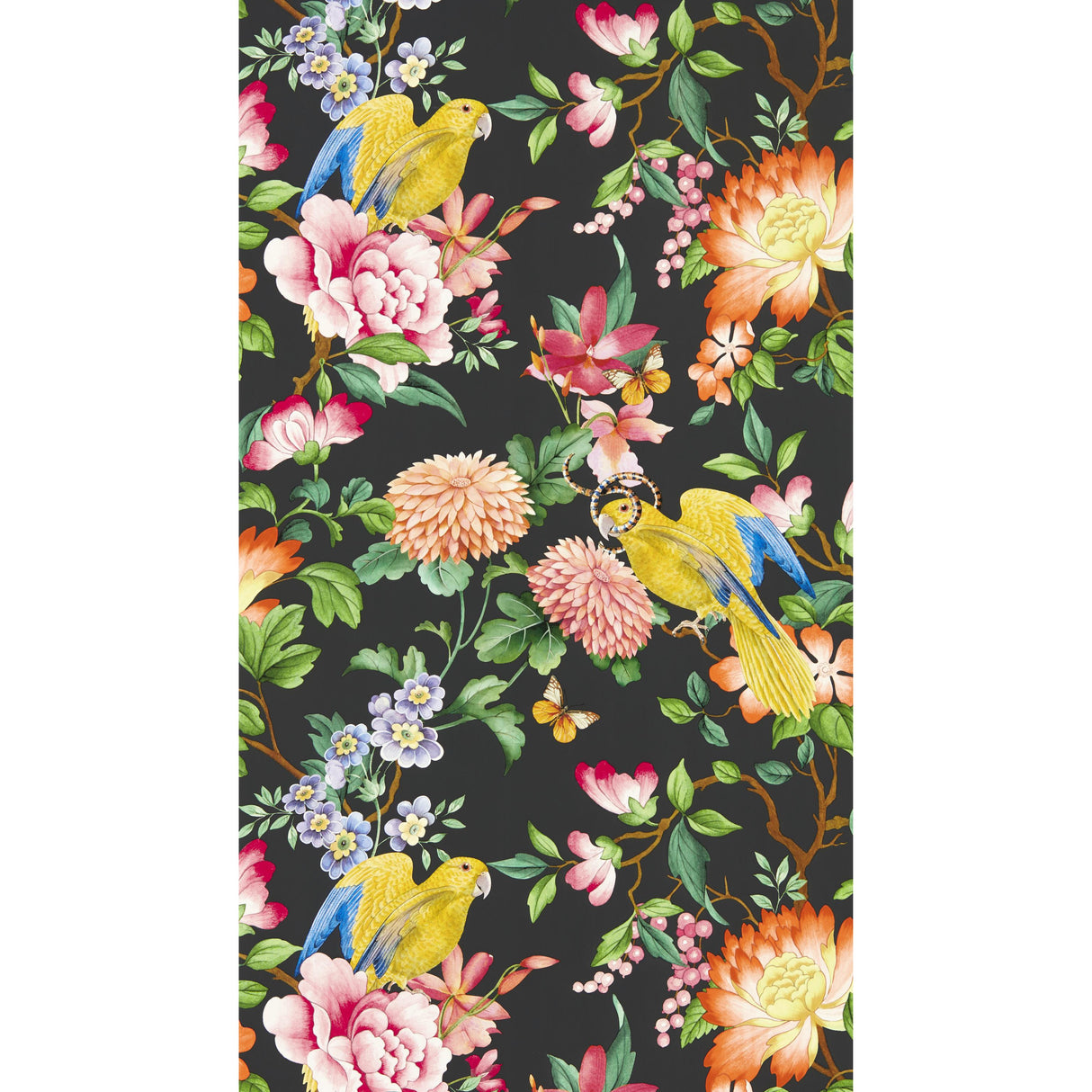 Clarke & Clarke GOLDEN PARROT WP NOIR Wallpaper