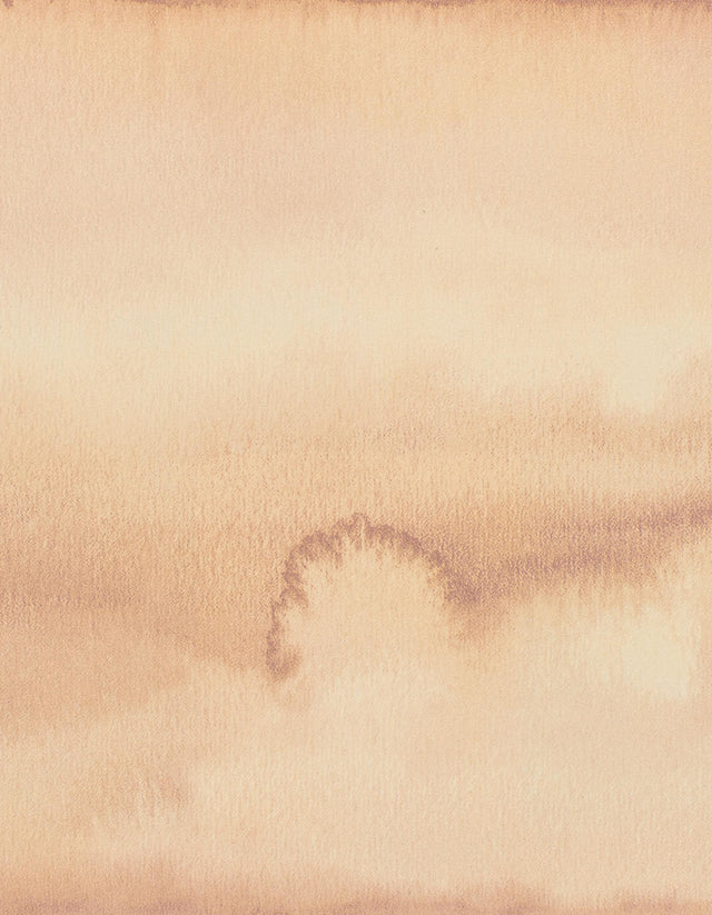 Winfield Thybony SHORELINE ALOHA Wallpaper