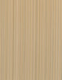 Winfield Thybony BENGAL BUTTERCUP Wallpaper