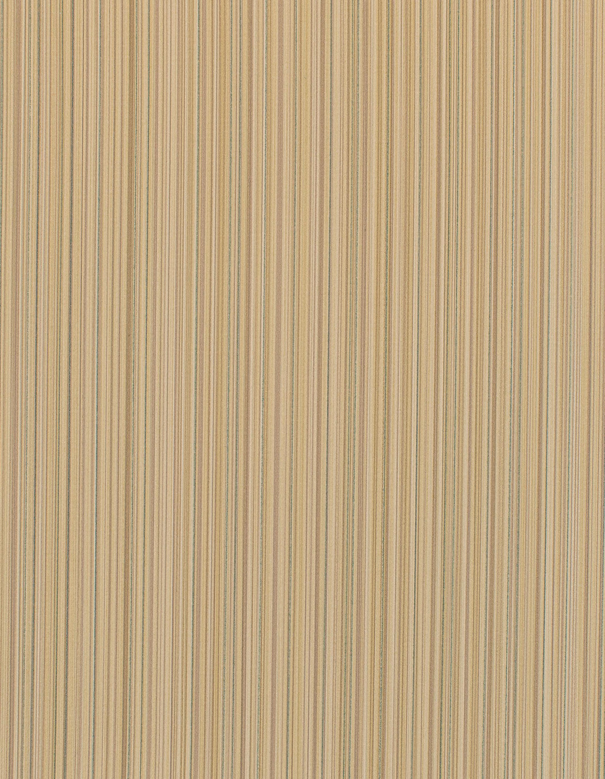 Winfield Thybony BENGAL BUTTERCUP Wallpaper