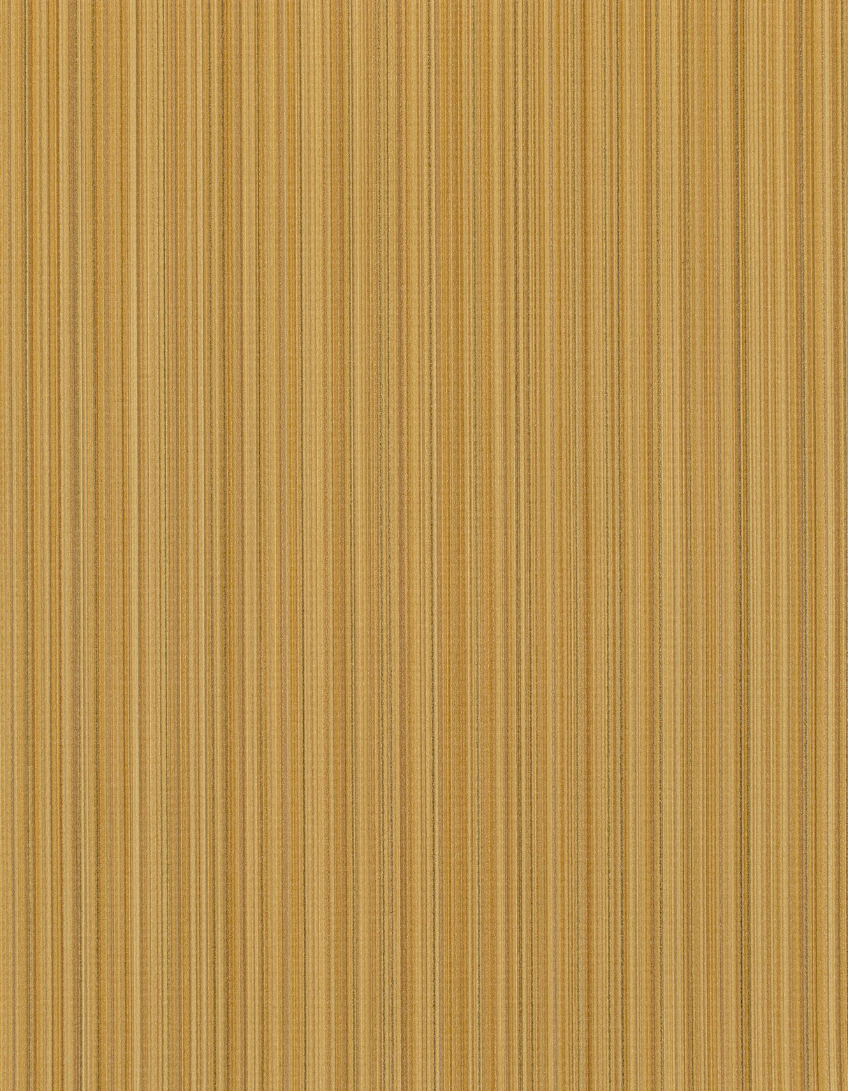 Winfield Thybony BENGAL GINGER Wallpaper