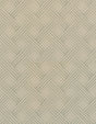 Winfield Thybony EASON OPTIC WHITE Wallpaper