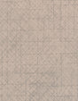 Winfield Thybony SPARK ARCTIC SHELL Wallpaper