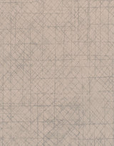 Winfield Thybony SPARK ARCTIC SHELL Wallpaper