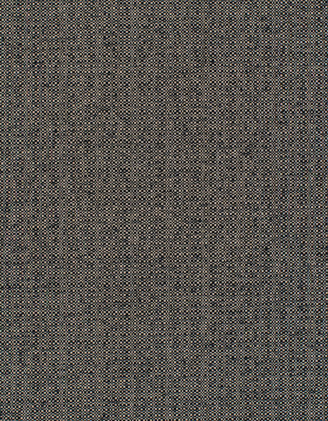 Winfield Thybony BARRON PANTHER Wallpaper