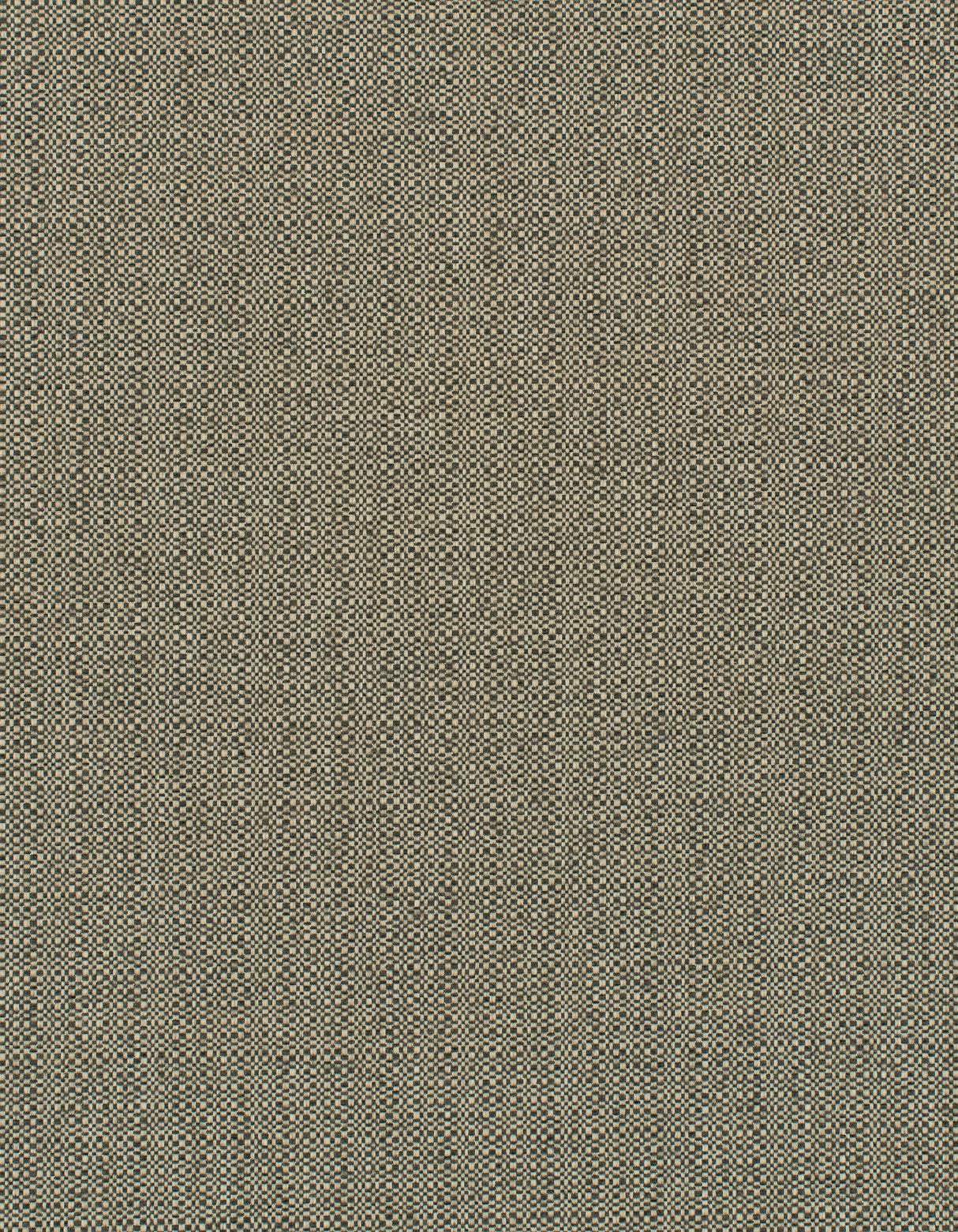 Winfield Thybony BARRON WOODLAND Wallpaper