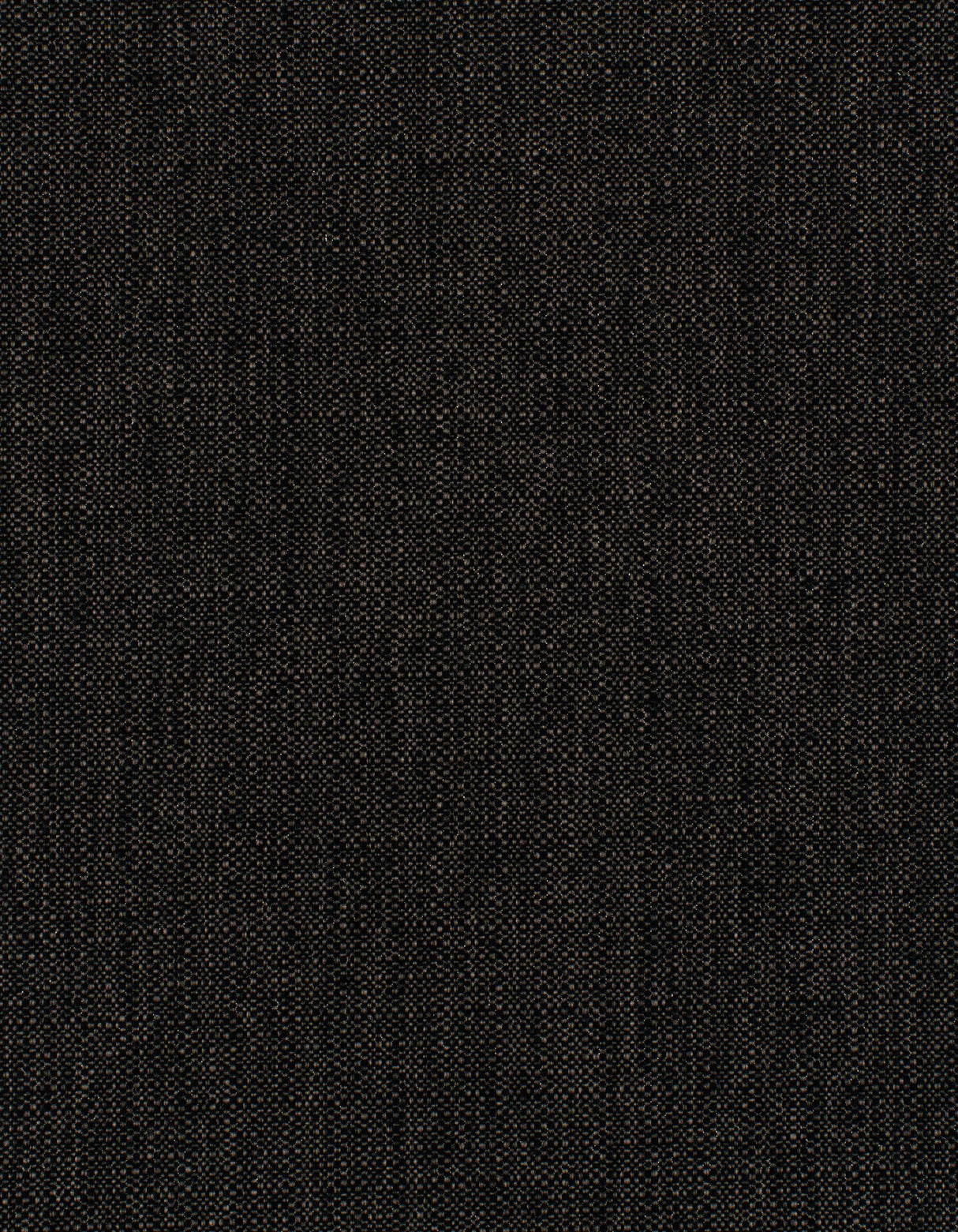 Winfield Thybony BARRON MIDNIGHT Wallpaper