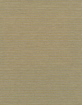 Winfield Thybony ELZA WILD RICE Wallpaper