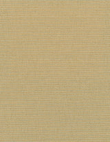 Winfield Thybony ELZA OLYMPUS Wallpaper