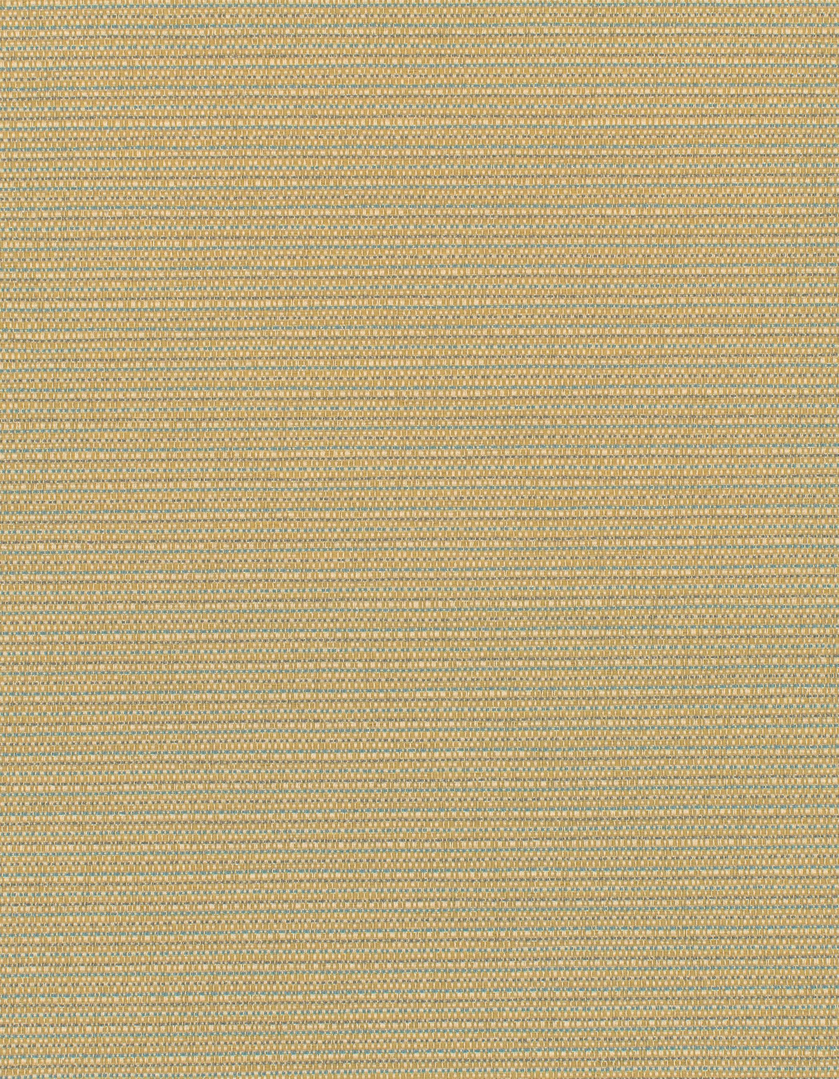 Winfield Thybony ELZA OLYMPUS Wallpaper