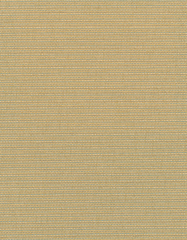 Winfield Thybony ELZA OLYMPUS Wallpaper