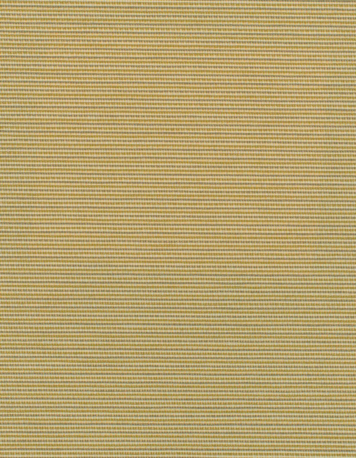 Winfield Thybony ELZA SPUN SILK Wallpaper