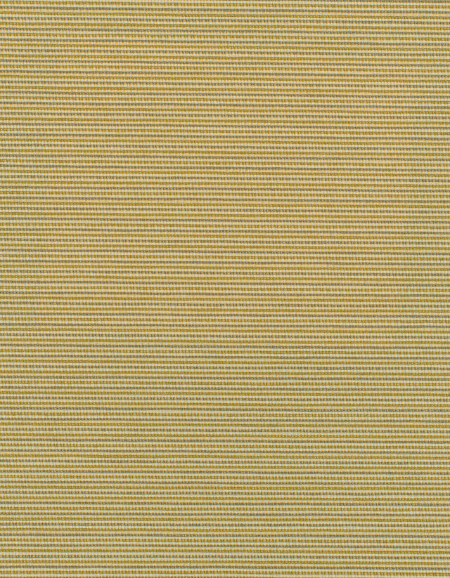 Winfield Thybony ELZA SPUN SILK Wallpaper