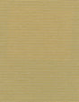 Winfield Thybony ELZA SPUN SILK Wallpaper