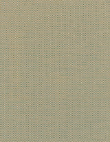 Winfield Thybony CAMILLE CASHEW Wallpaper