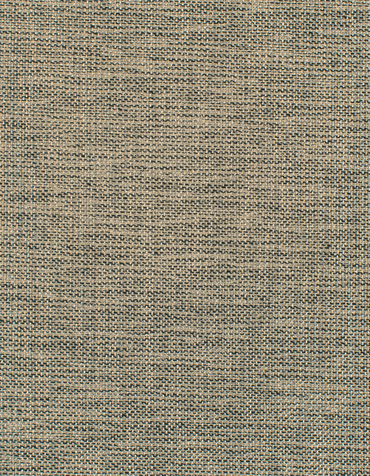 Winfield Thybony ASTRID CATTAILS Wallpaper