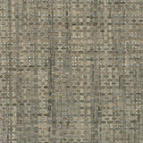 Winfield Thybony CATALINA WEAVE AGAVE Wallpaper