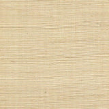 Winfield Thybony DISTINCTIVE SISALS CAMEO Wallpaper