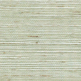 Winfield Thybony DISTINCTIVE SISALS CELERY SALT Wallpaper