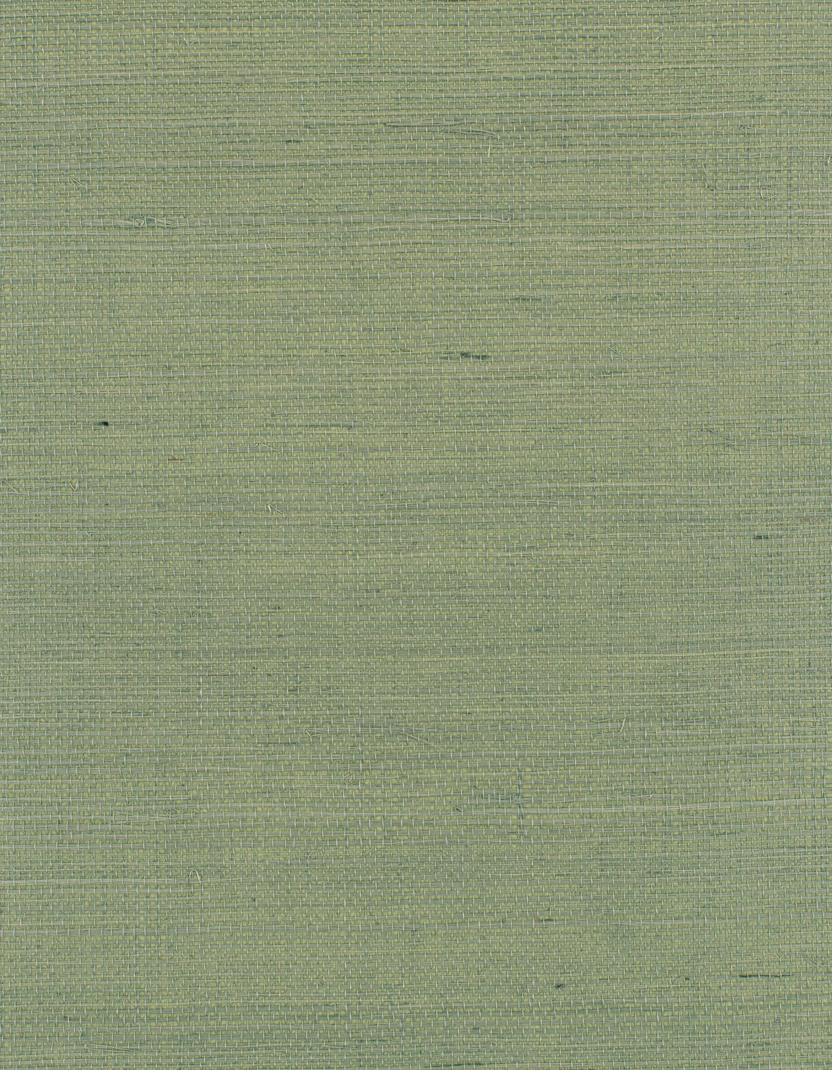 Winfield Thybony DISTINCTIVE SISALS CACTUS Wallpaper