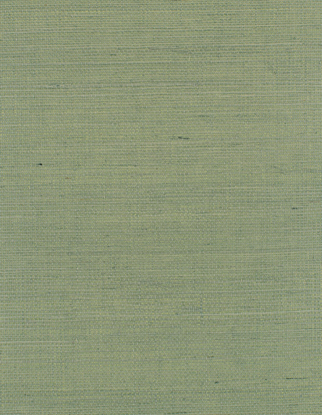 Winfield Thybony DISTINCTIVE SISALS CACTUS Wallpaper