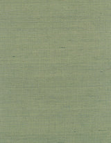 Winfield Thybony DISTINCTIVE SISALS CACTUS Wallpaper