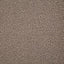 Pindler TOLAND TAUPE Fabric