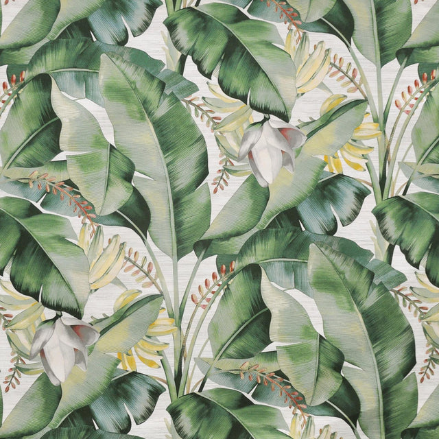 Maxwell KONA #521 ALOE Fabric