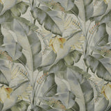 Maxwell KONA #523 MEADOW Fabric