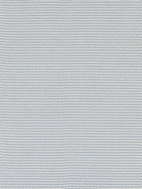 Scalamandre El Faro Beach Cobalt Fabric