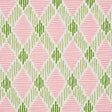 Schumacher Dexter Indoor/Outdoor Pink & Green Fabric
