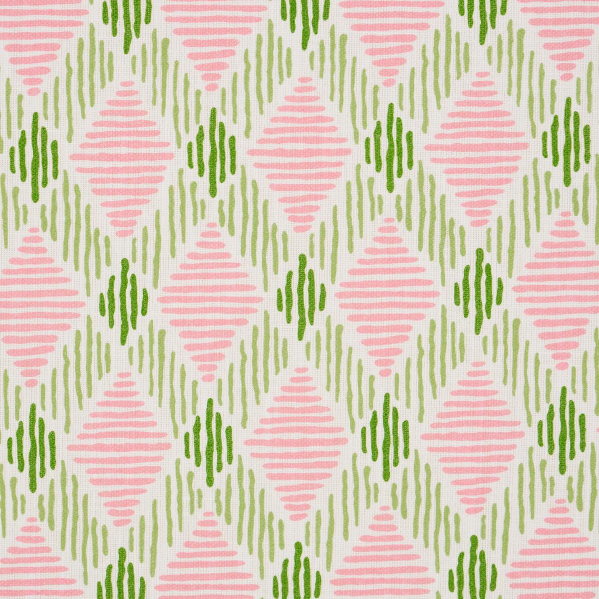 Schumacher Dexter Indoor/Outdoor Pink & Green Fabric