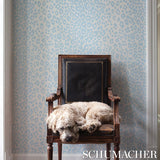 Schumacher Iconic Leopard Sky Wallpaper