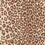 Schumacher Iconic Leopard Brown On Neutral Wallpaper