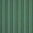 Schumacher Fino Stripe Indoor/Outdoor Green Fabric