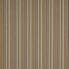 Schumacher Fino Stripe Indoor/Outdoor Multi Fabric