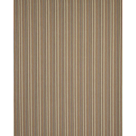 Schumacher Fino Stripe Indoor/Outdoor Multi Fabric