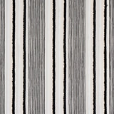Schumacher Billy Indoor/Outdoor Black Fabric
