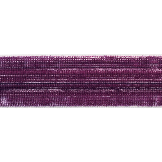 Schumacher Eggplant Gaspard Velvet Tape Narrow