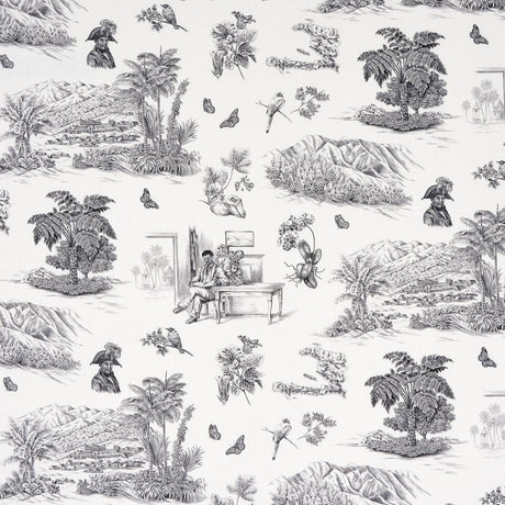 Schumacher Toussaint Toile Black Fabric