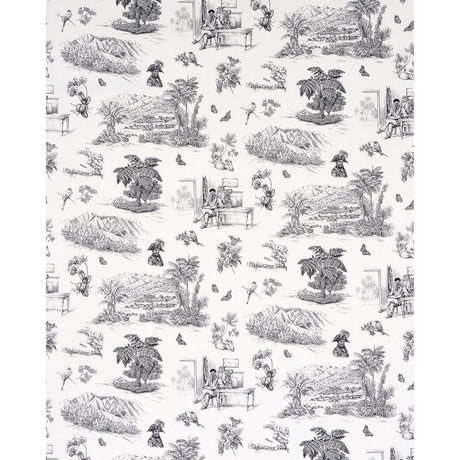 Schumacher Toussaint Toile Black Fabric