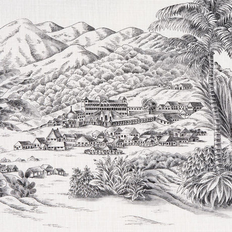 Schumacher Toussaint Toile Black Fabric