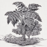Schumacher Toussaint Toile Black Fabric