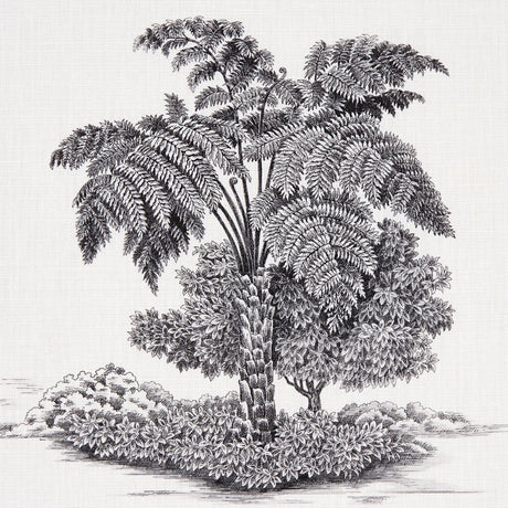 Schumacher Toussaint Toile Black Fabric